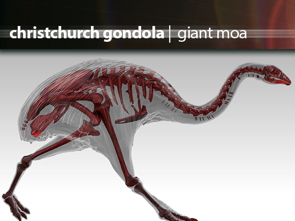 Christchurch Gondola