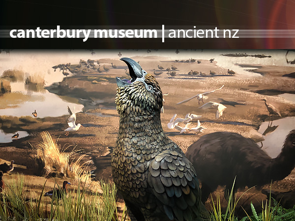 Canterbury Museum