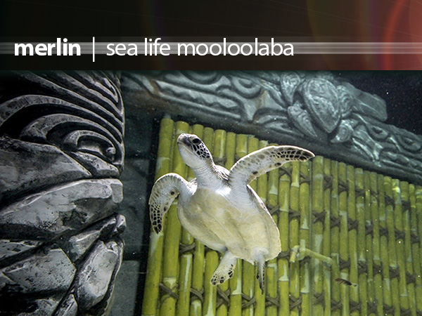 Merlin Underwater World