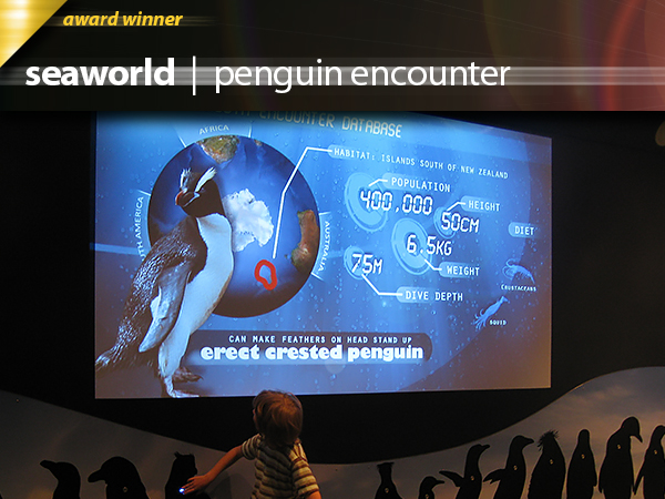 Seaworld Penguin Encounter