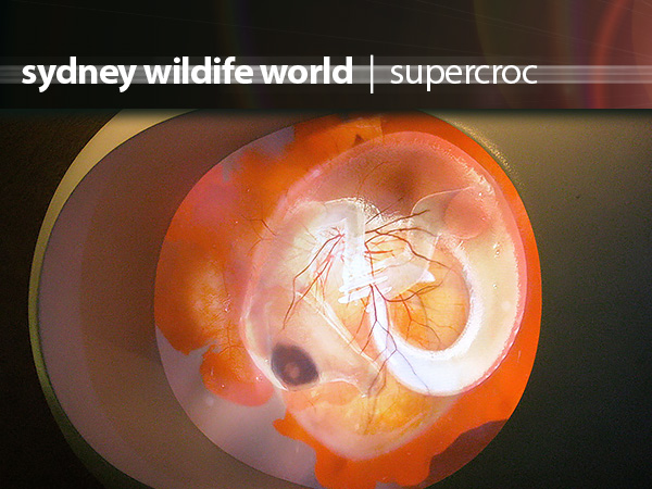 Wildlife World Supercroc