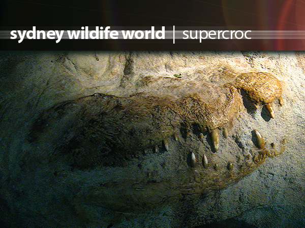 Wildlife World Supercroc